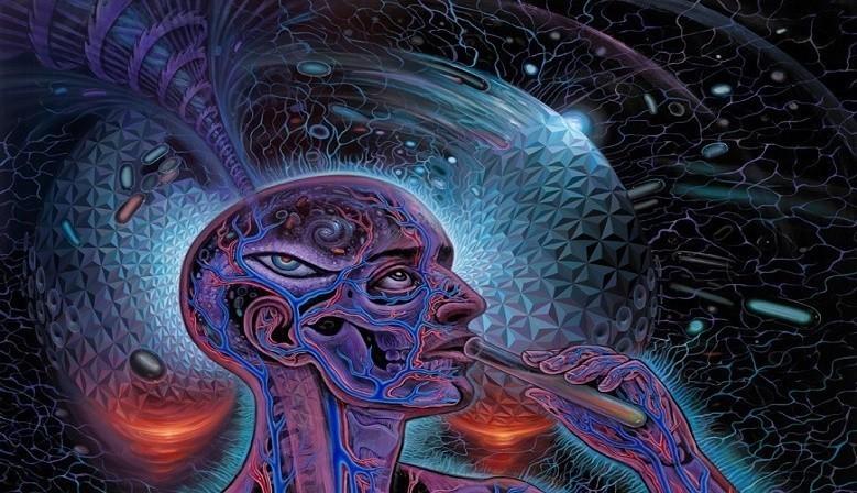 dmt kaufen