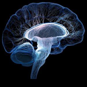 Wie lange ist DMT haltbar?
